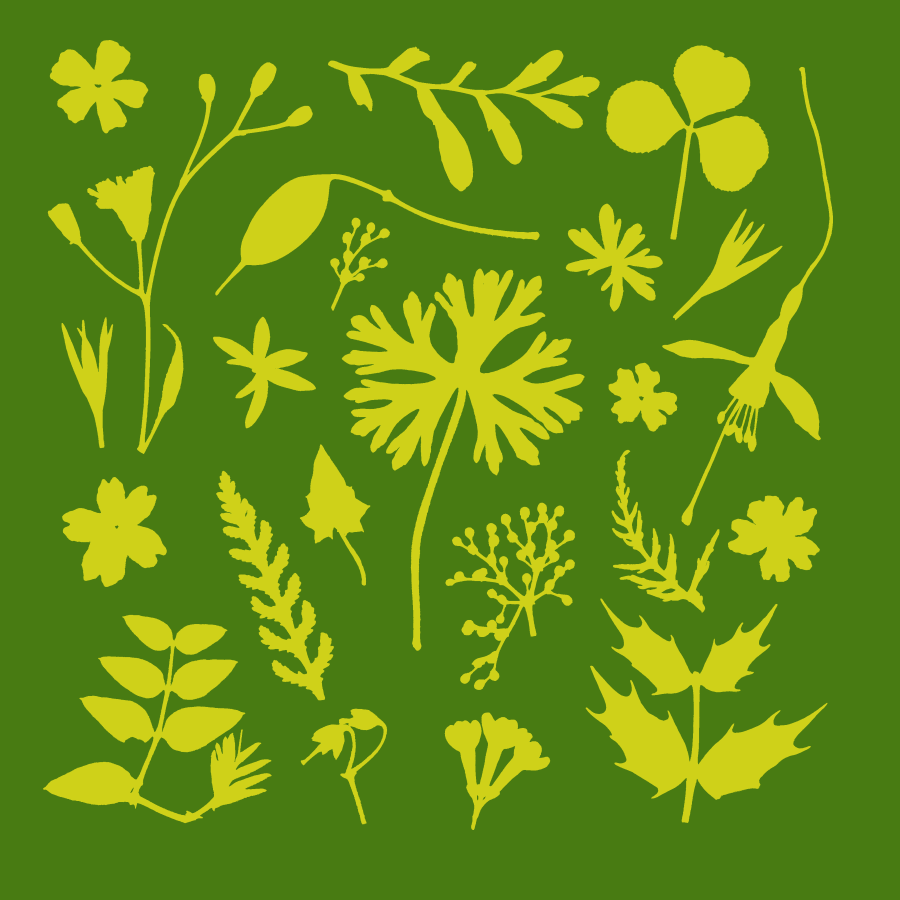 Card- The Emerald Wild Garden