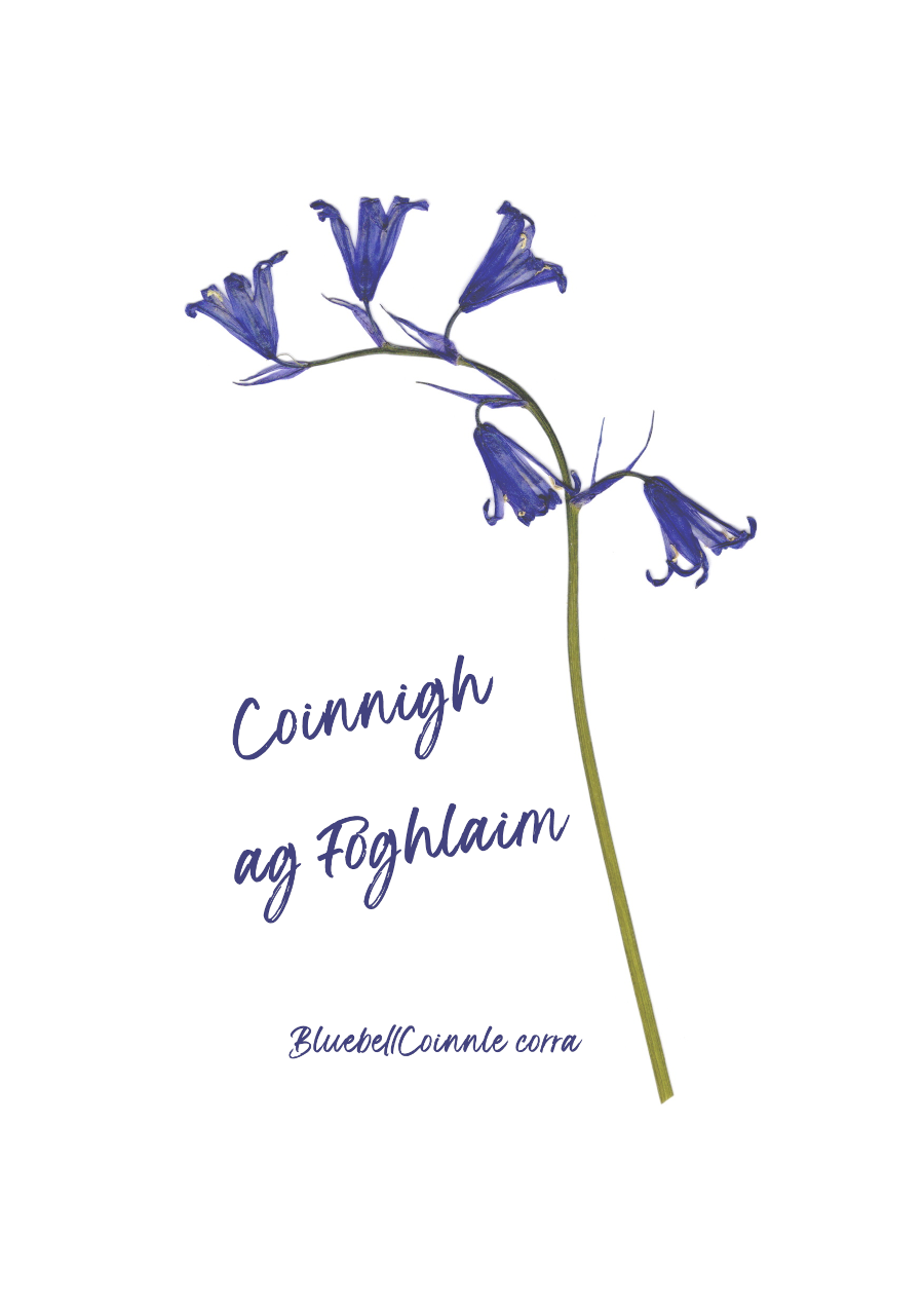 Print-A5 Coinnigh ag foghlaim /Keep Growing