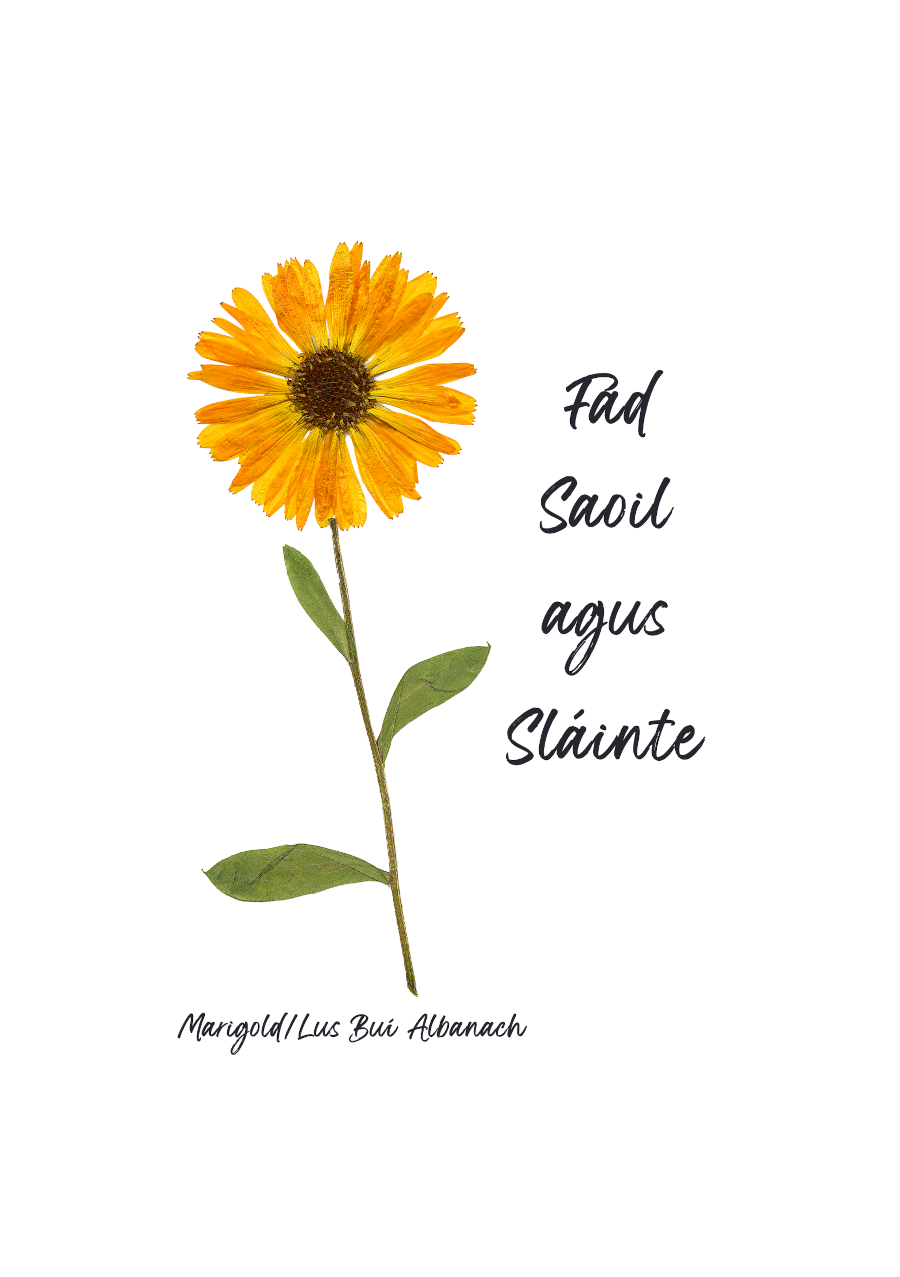 Print-A5 Fad saoil agus slainte/Health and Long Life