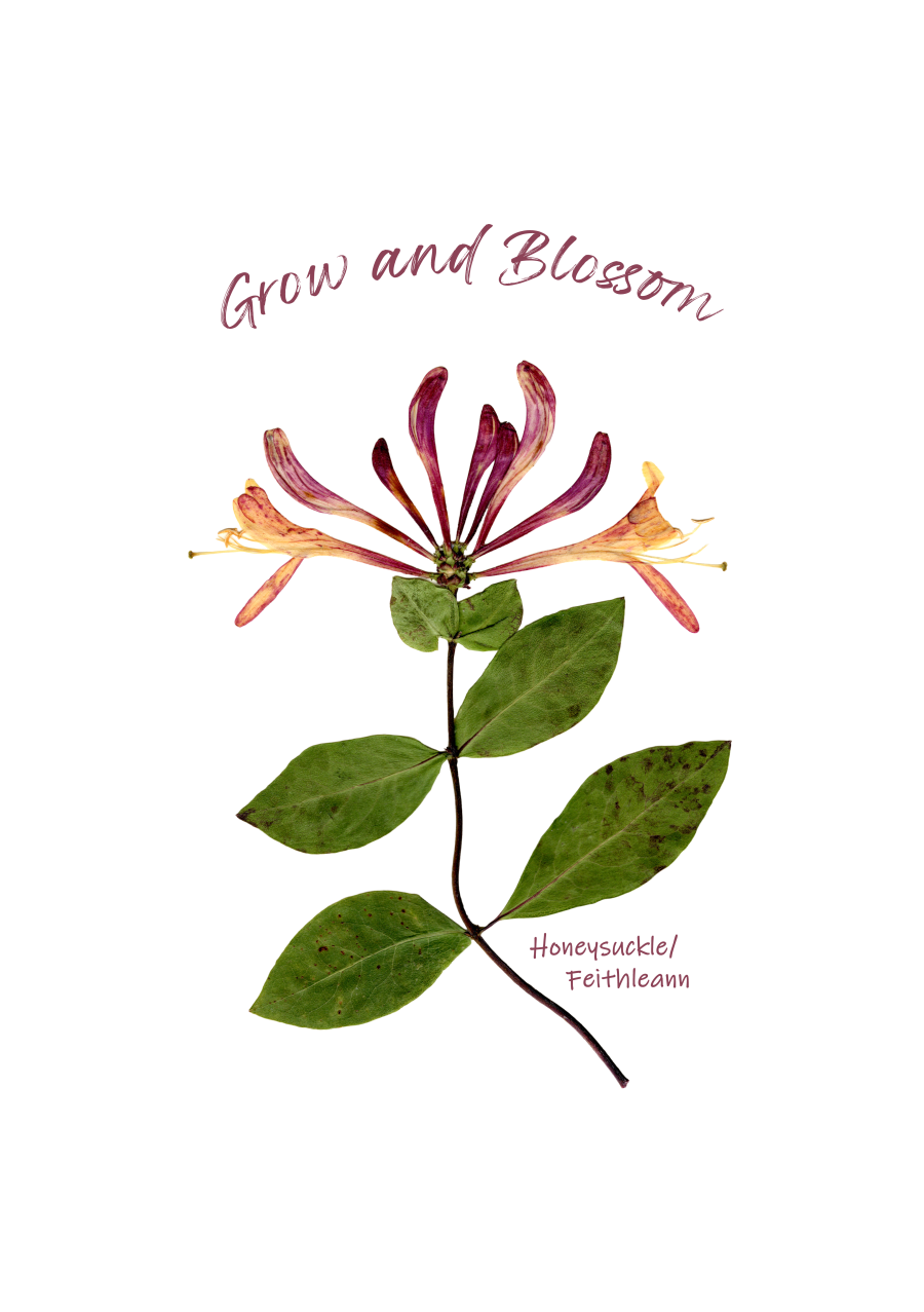 Print-A5 Grow and Blossom