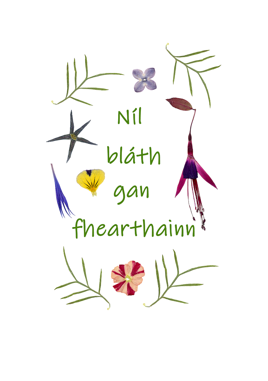 Print-A5 Nil Blath gan Fhearthainn/No Rain No flowers