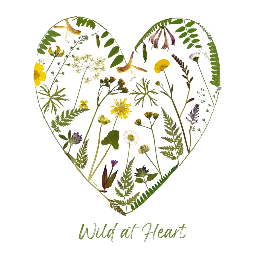 Card- Wild at Heart