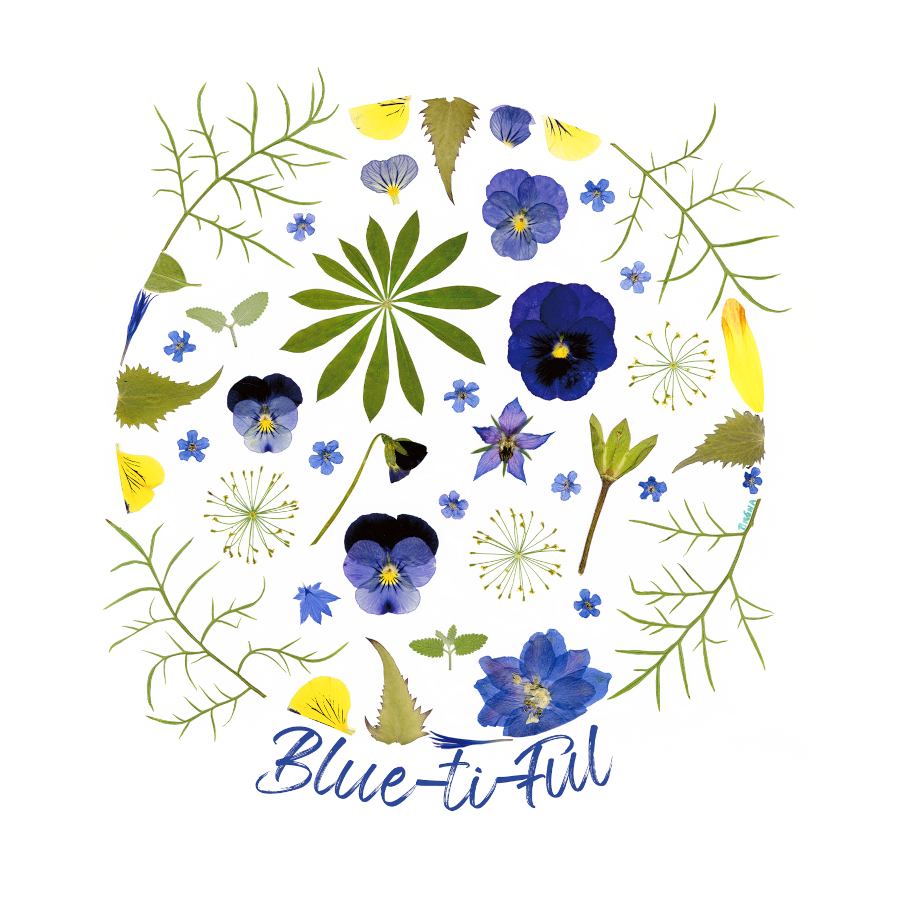 Card- Forget-Me-Not-Circle