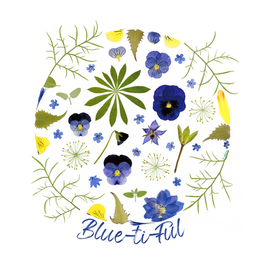 Card- Forget-Me-Not-Circle