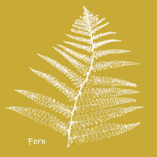 Card- The Golden Fern