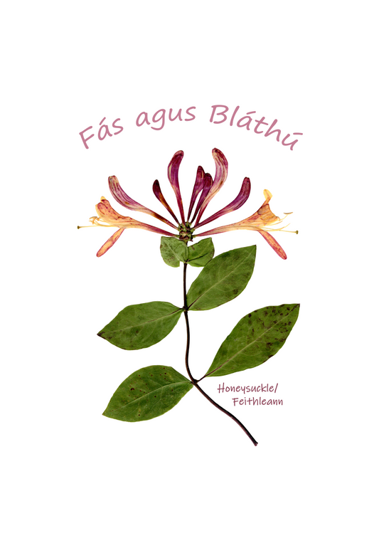 Print-A5 Fas agus Blathu/Grow and Blossom