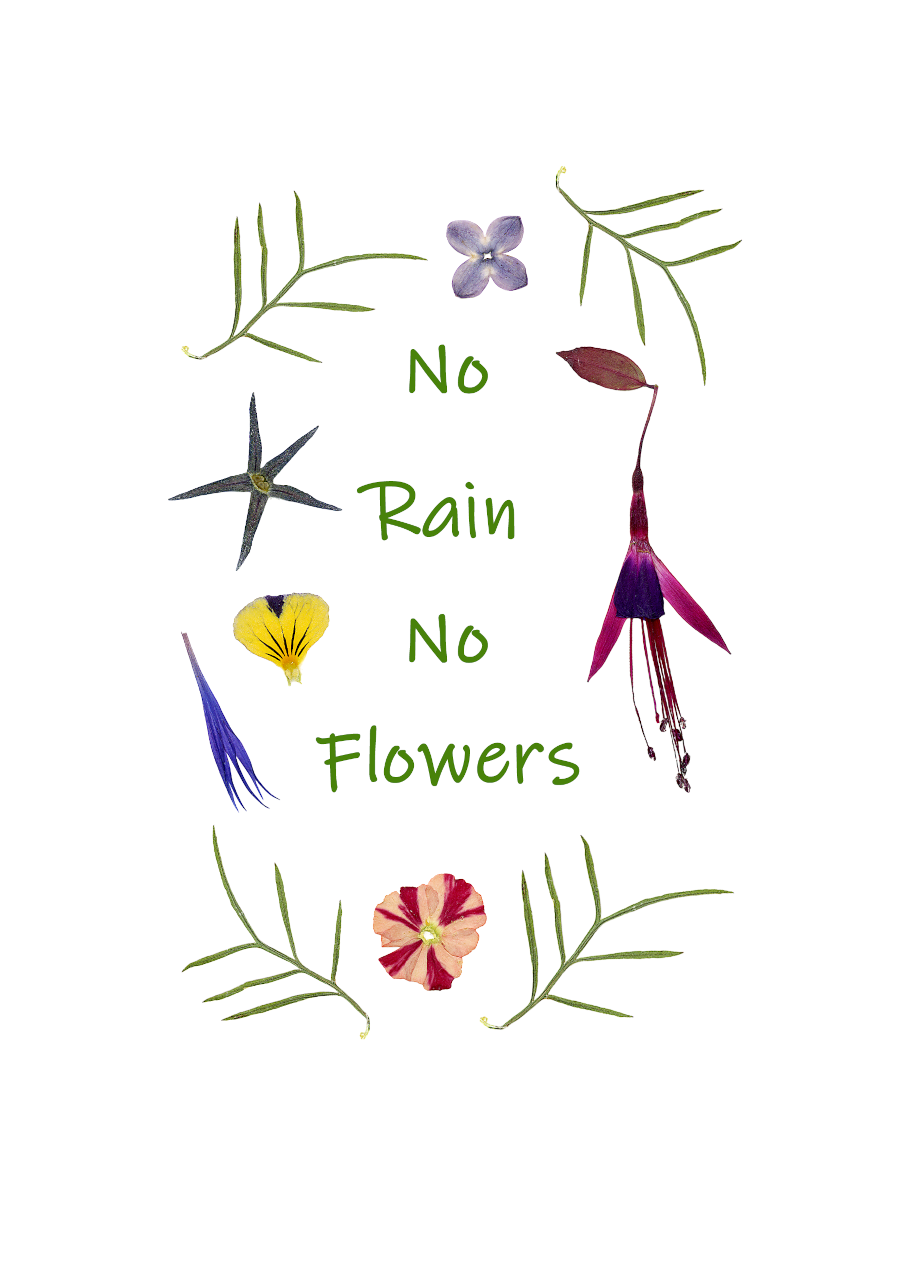 Print-A5 No Rain, No Flowers