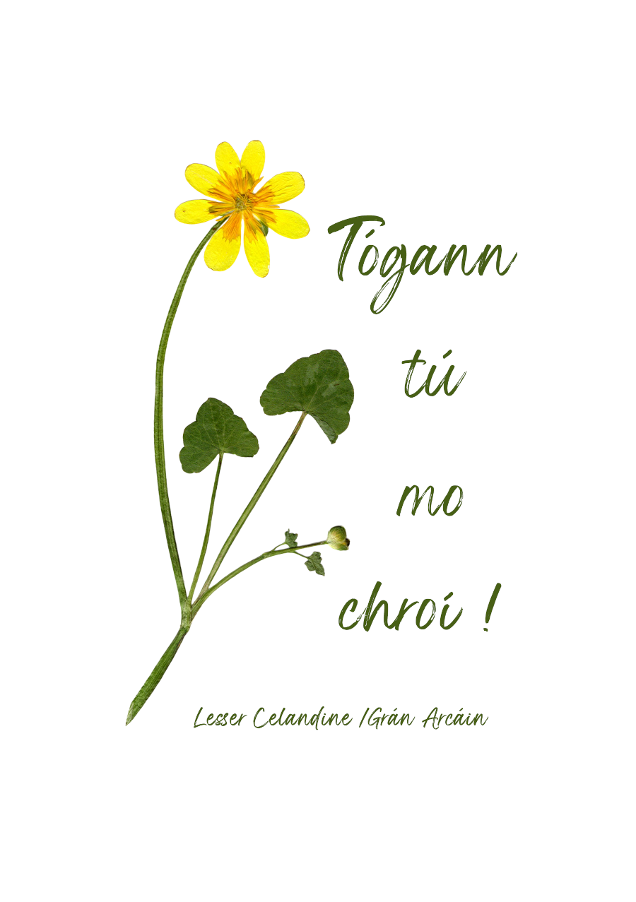Print-A5 Togann tu mo chroi/ You Lift Up My Heart