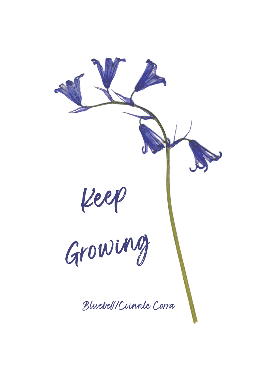 Print-A5 Keep Growing