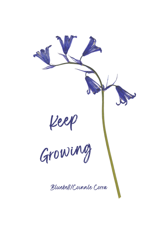 Print-A5 Keep Growing