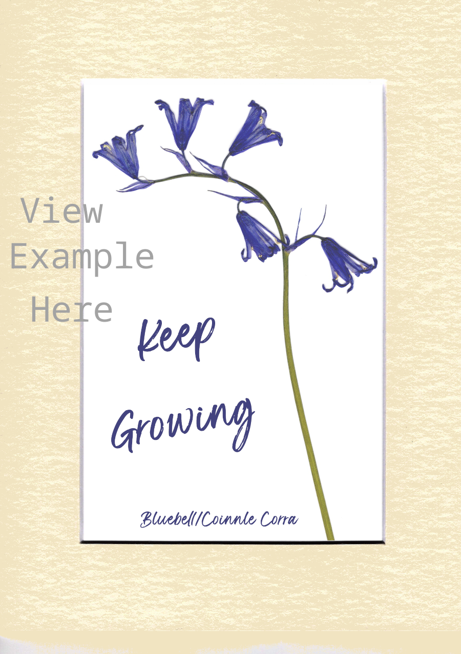 Print Product Sample