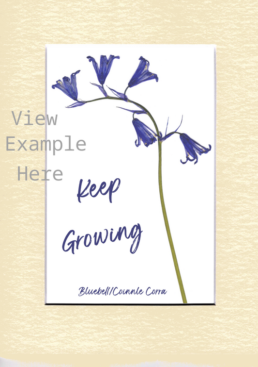 Print Product Sample