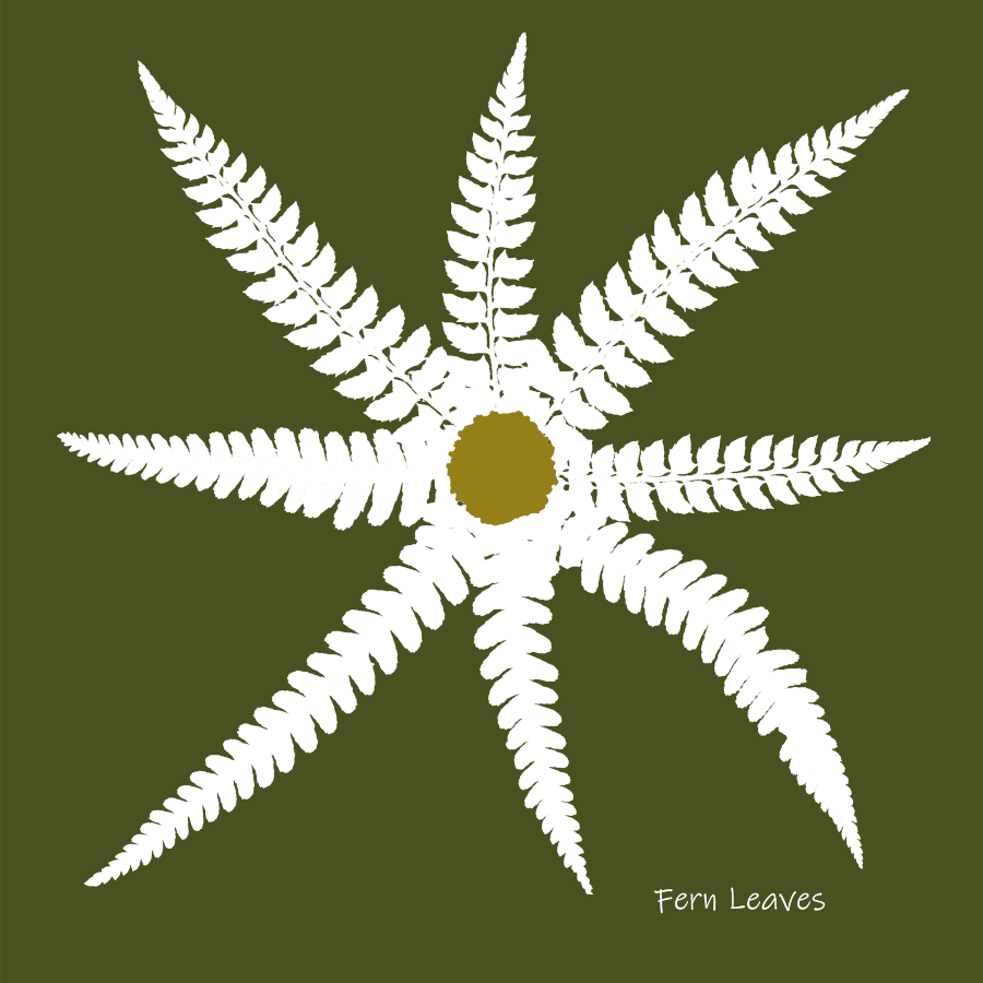 Card- The Botanical Star Fern