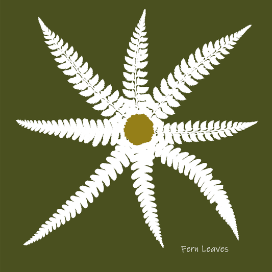 Card- The Botanical Star Fern